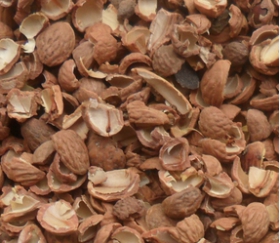 核桃深加工——核桃油，核桃粉，核桃工藝品，活性炭制品(圖3)